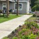 Springfest Community Volunteer Day